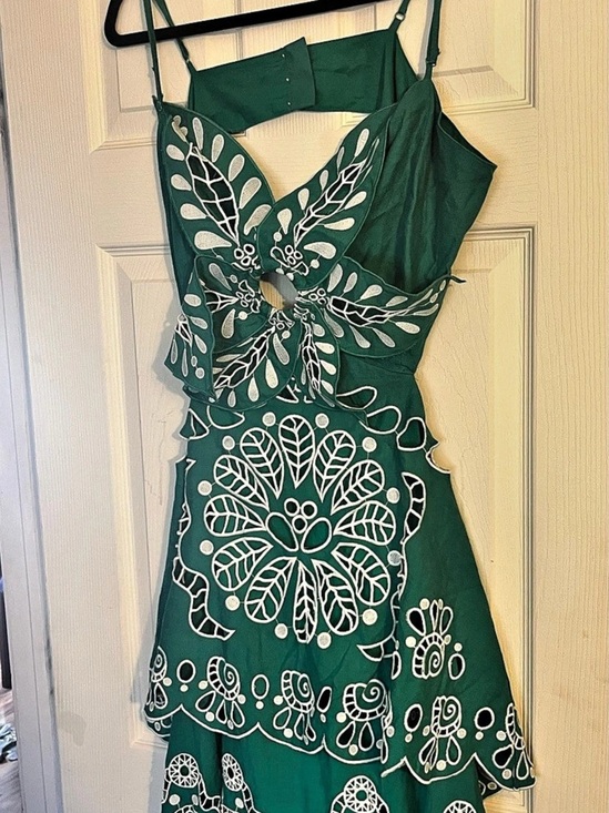 FARM Rio Dresses & Skirts - Embroidered Maxi Dress in Green & White NWT